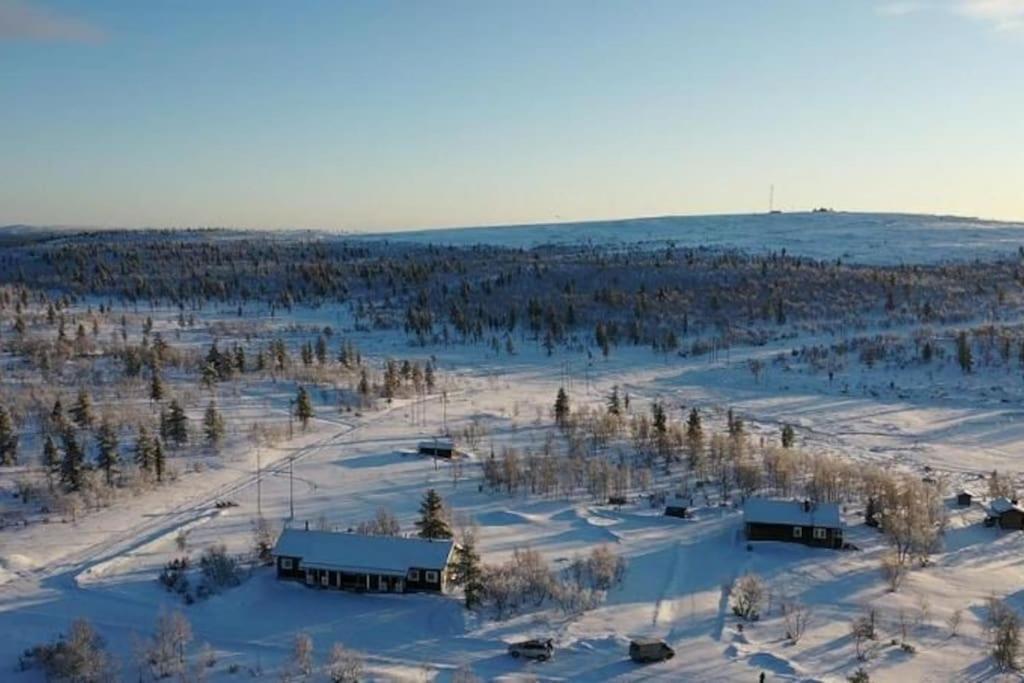 Twin Peaks Urupaeae B Saariselkä